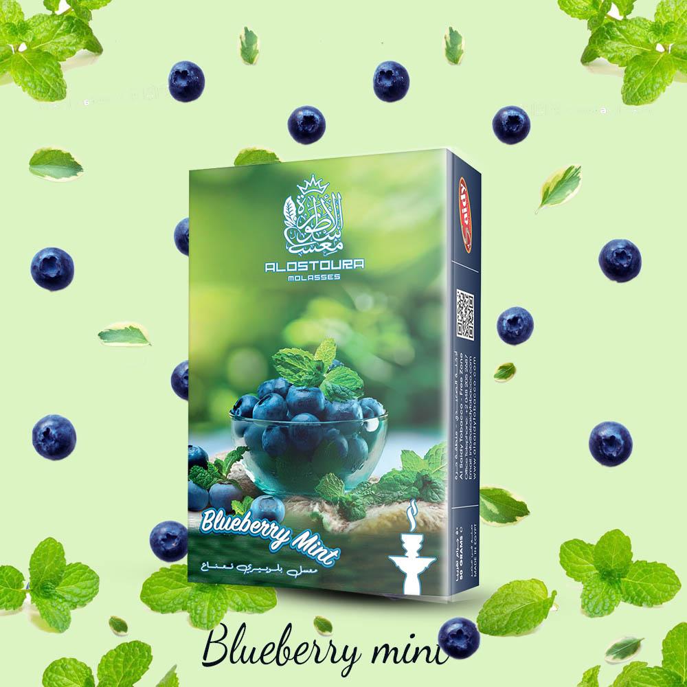 Blueberry Mint 